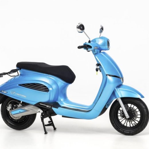 Nippona E-Legance en vente chez Golden Bikes